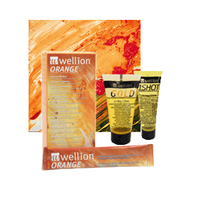 Wellion ORANGE Invertzuckersirup